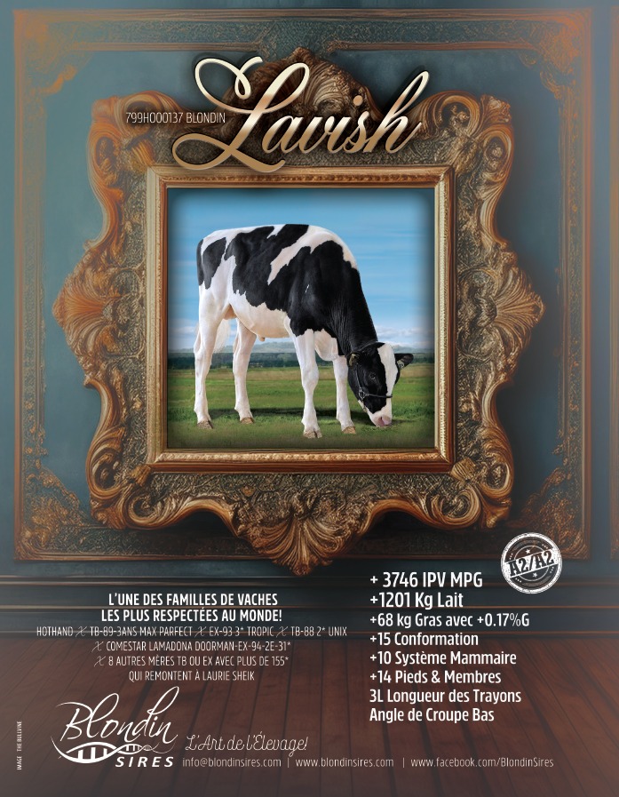 Toro Laurish — Blondin Sires